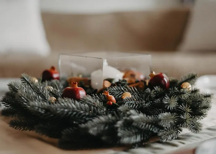 Dimsim Home-σπίτι με όνομα 트리칼라